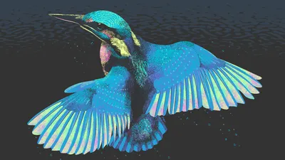 image of the Pixel graphic Bird Reynolds